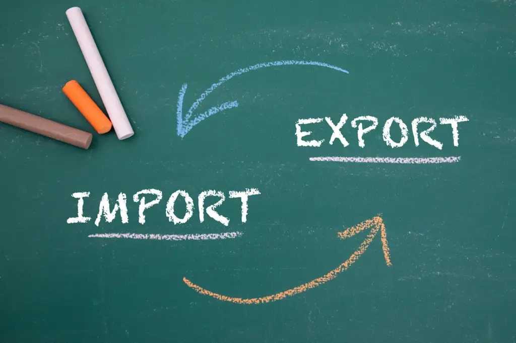 Zelena školska ploča s natpisima Import i Export te nacrtanim strelicama koje prikazuju smjer protoka podataka